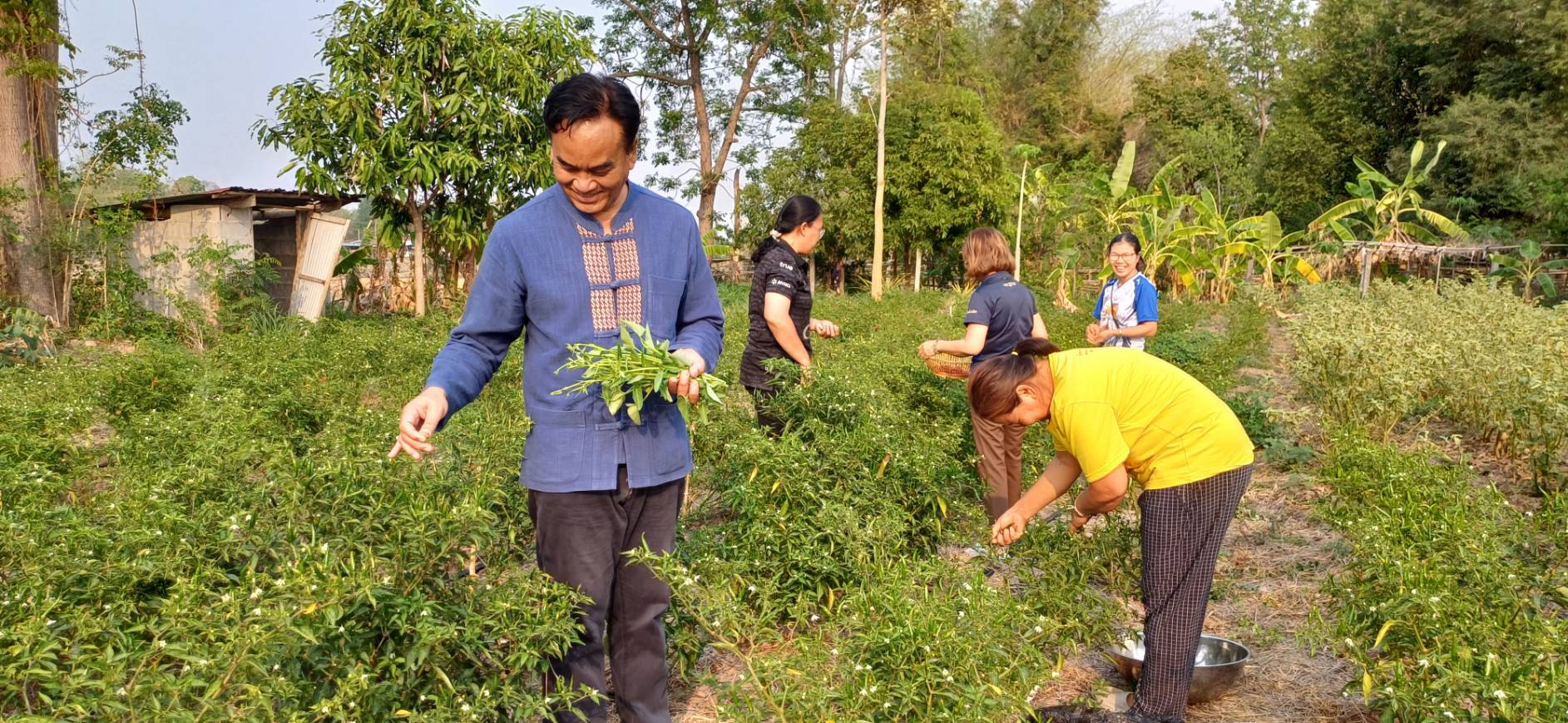 จังหวัดบุรีรัมย์ สพอ.นาโพธิ์ ร่วมขยายผลการน้อมนำหลักปรัชญาของเศรษฐกิจพอเพียง สู่ครัวเรือนโดยรอบศูนย์เรียนรู้การพัฒนาคุณภาพชีวิตตามหลักทฤษฎีใหม่ ประยุกต์สู่ “โคก หนอง นา”